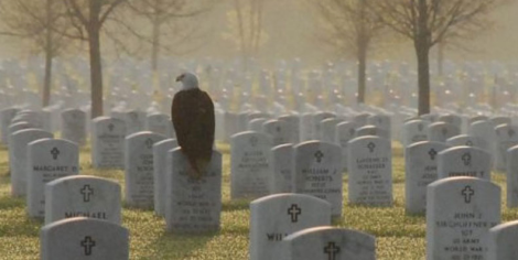 Eagle on gravestone